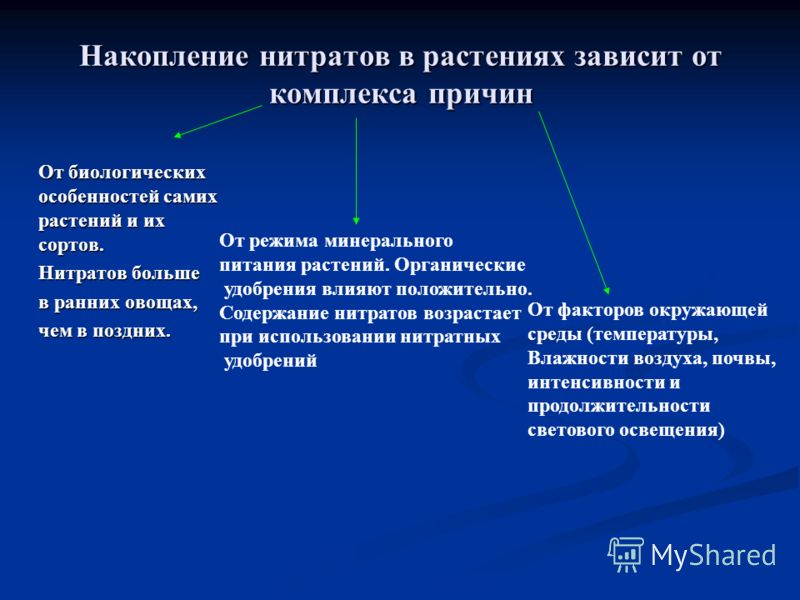 Накопление нитратов в растениях зависит от комплекса причин От биологических особенностей самих растений и их сортов. От биологических особенностей са