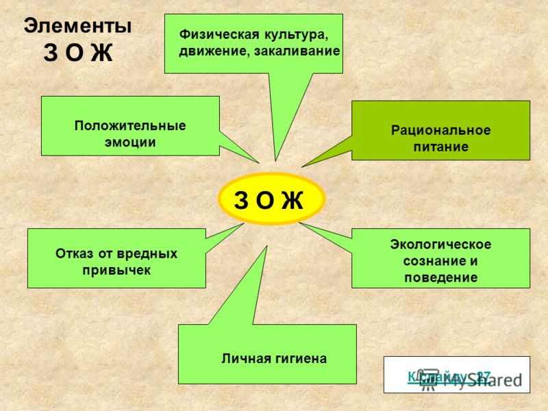 здоровое питание воронеж официальный сайт здоровое питание воронеж официальный сайт