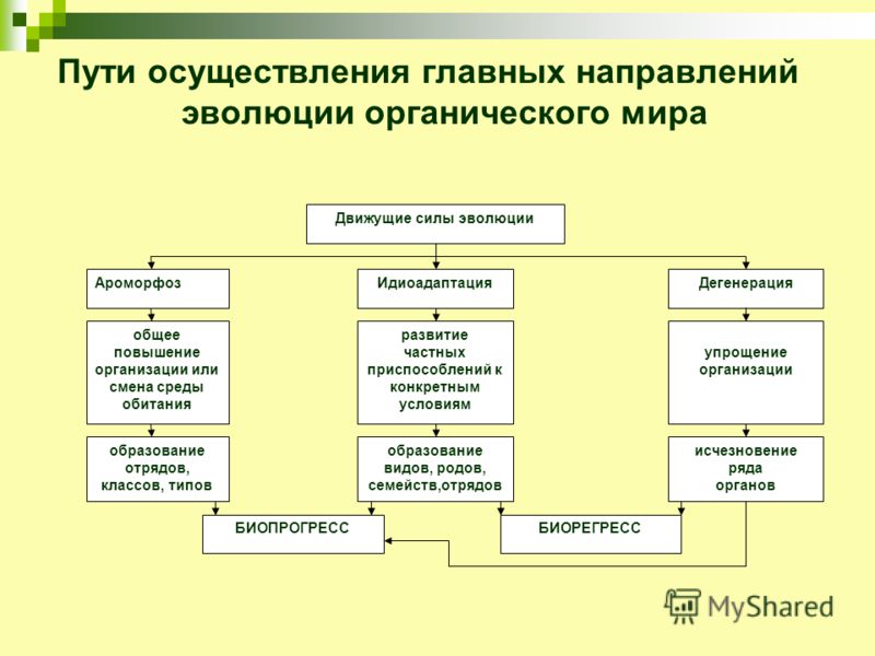 паразиты в мозге человека лечение паразиты в мозге человека лечение