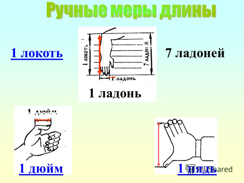 1 дюйм 1 локоть 1 ладонь 7 ладоней 1 пядь