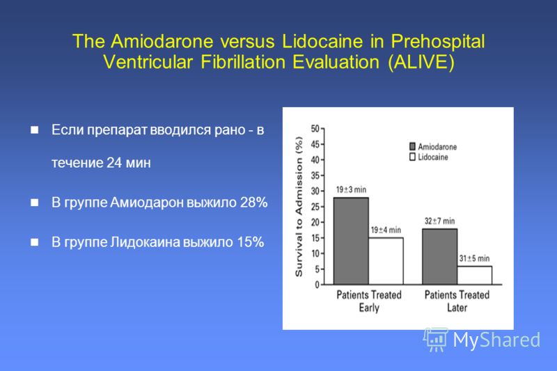 Is liquid ivermectin safe for dogs Is liquid ivermectin safe for dogs