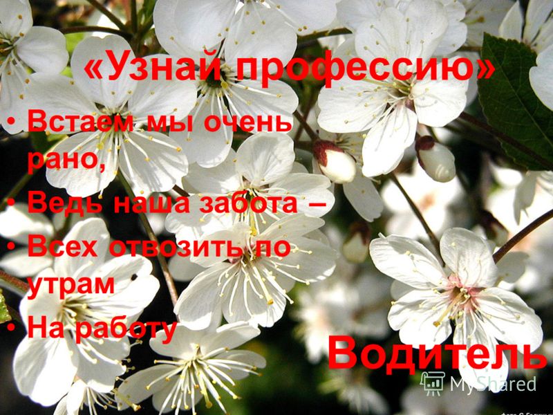Колющая боли внизу живота слева при беременности