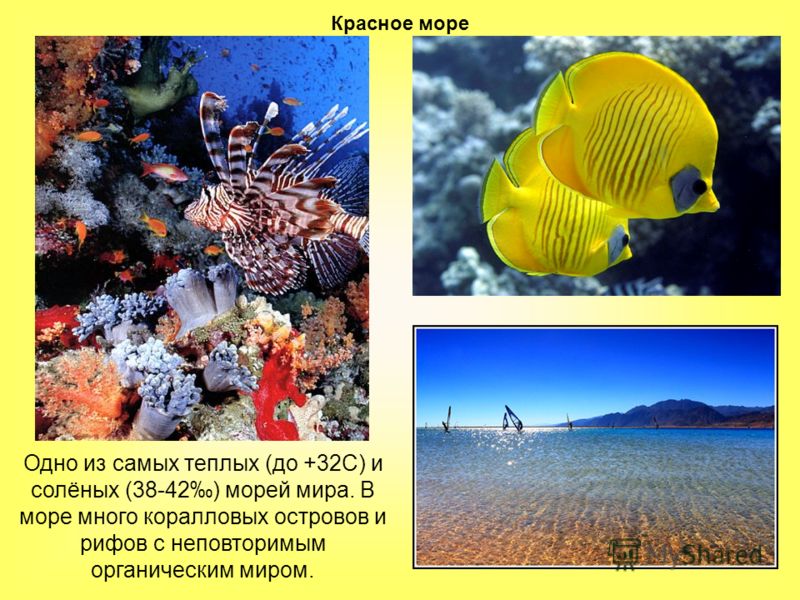 Программа занкова 1 класс отзывы