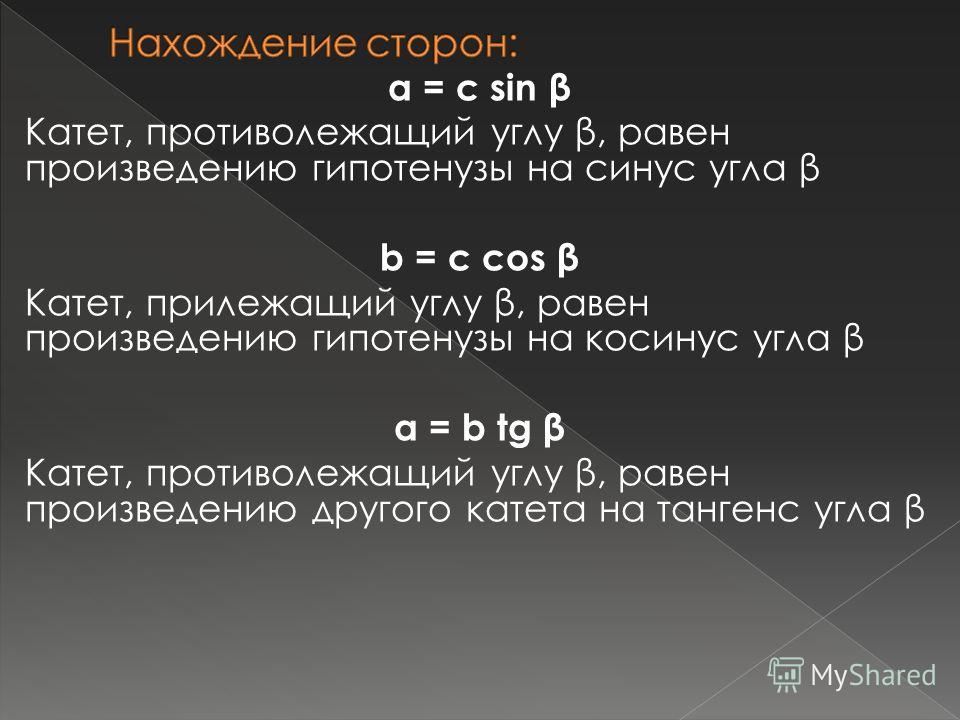 MaxMara весна-лето 2013 / одежда 2013 весно-лето Прямоугольный треугольник - Profmeter