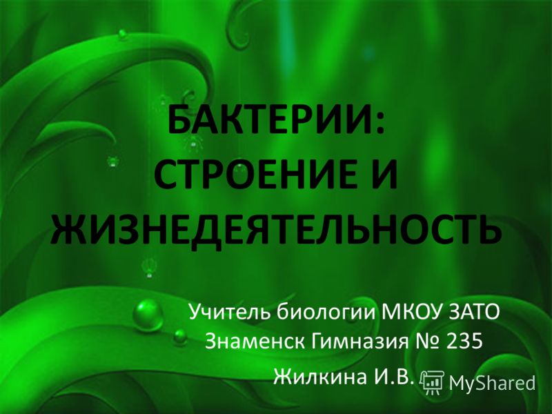 ангина биология