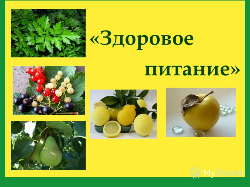 правильное питание без физических нагрузок правильное питание без физических нагрузок