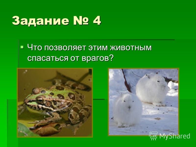 Физика 11 класс касьянов читать