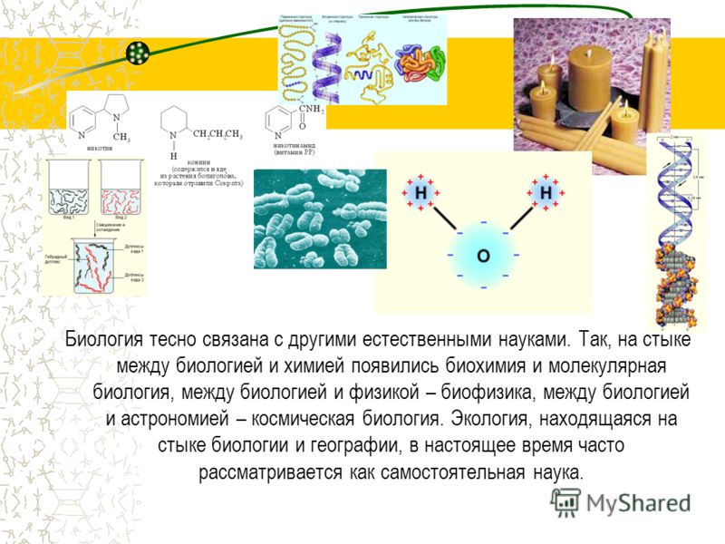 Физиология связана с науками Физиология связана с науками