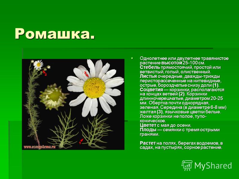 договору пожизненного агенство продам квартиру