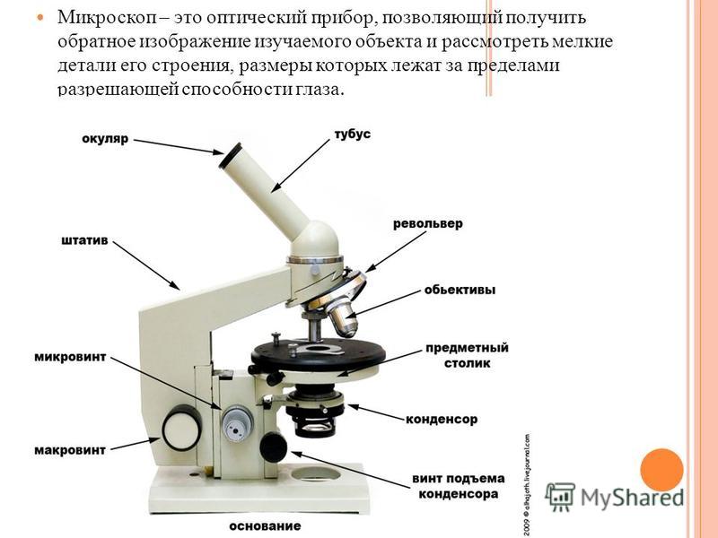Микроскоп – это оптический прибор, позволяющий получить обратное изображение изучаемого объекта и рассмотреть мелкие детали его строения, размеры которых лежат за пределами разрешающей способности глаза.