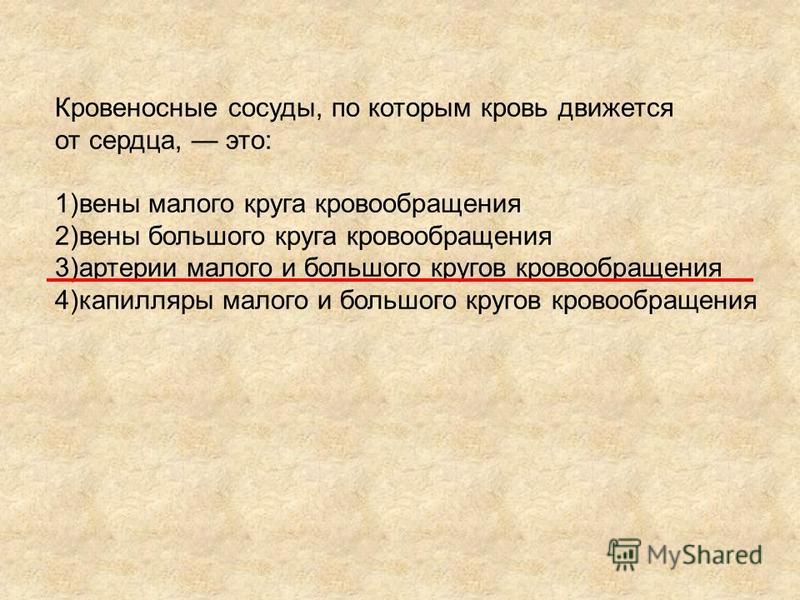 Расположение вен на ногах человека схема