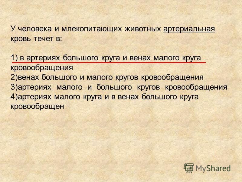 Как правильно подобрать компрессионные колготки при варикозе