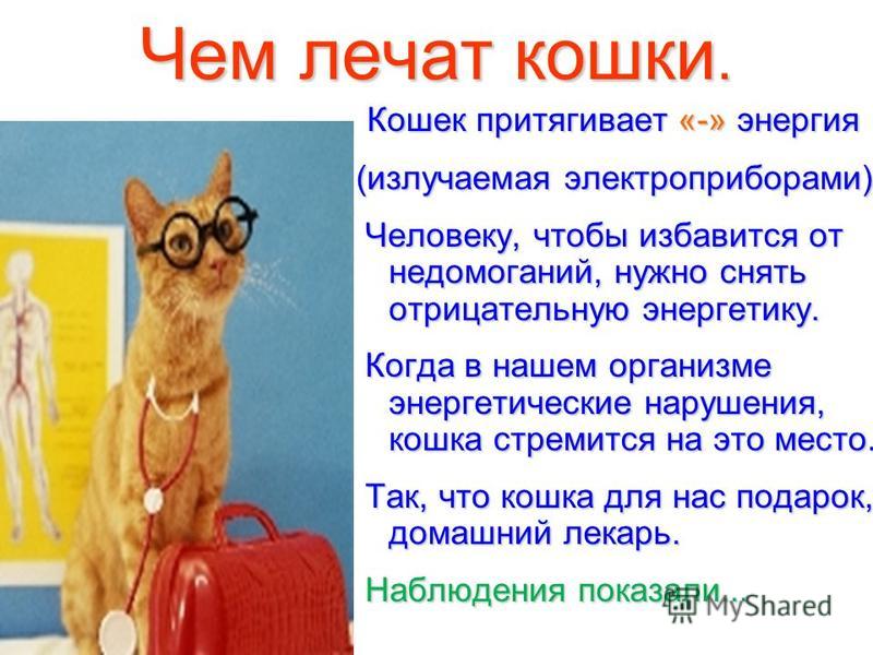 Ангина лакунарная у детей как лечить