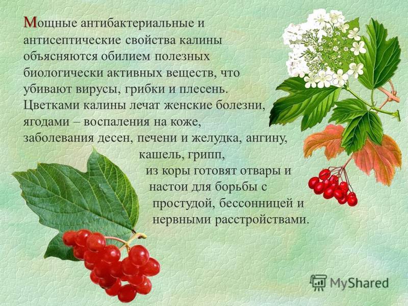 Лечение осложнения ангины на суставы лечение