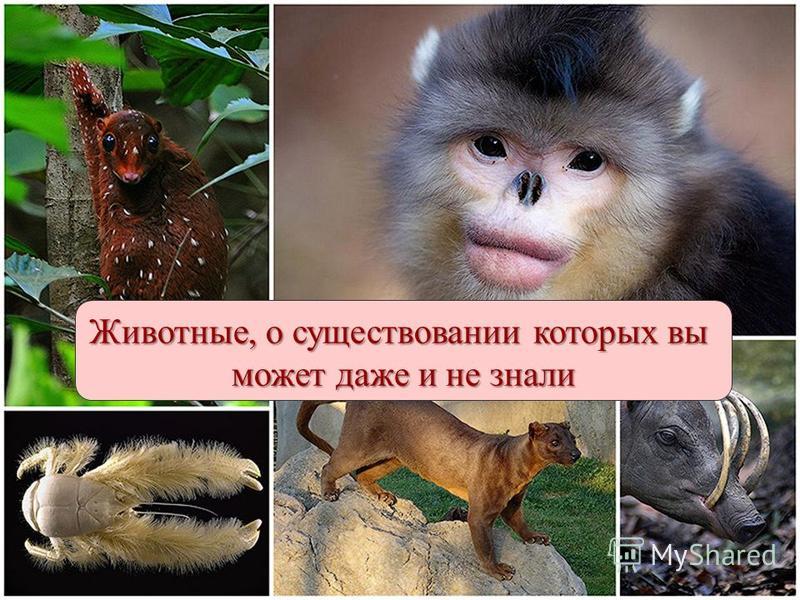 Топ-10: Актёры, которые получают неоправданно большие гонорары изображения Топ-10: Актёры, которые получают неоправданно большие гонорары изоражения