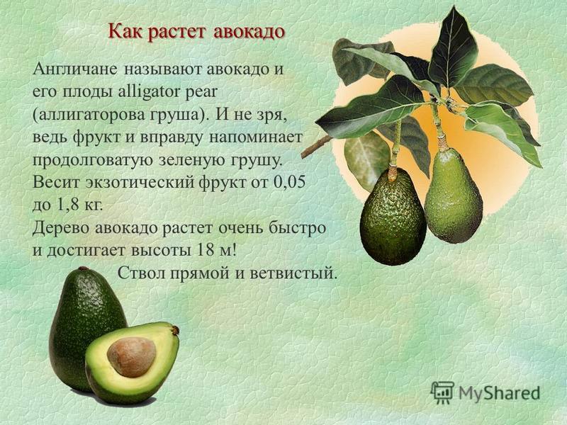 МУ Отдел образования Администрации Константиновского района Лучшие видеоролики конкурса Мы за здоровый образ жизни