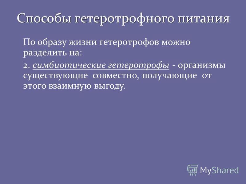 паразиты питающиеся кровью человека паразиты питающиеся кровью человека