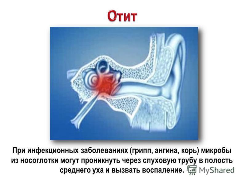 Как связаны заболевания органов с Как связаны заболевания органов с