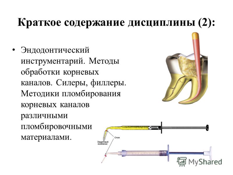 Краткое содержание дисциплины (2): Эндодонтический инструментарий. Методы обработки корневых каналов. Силеры, филлеры. Методики пломбирования корневых