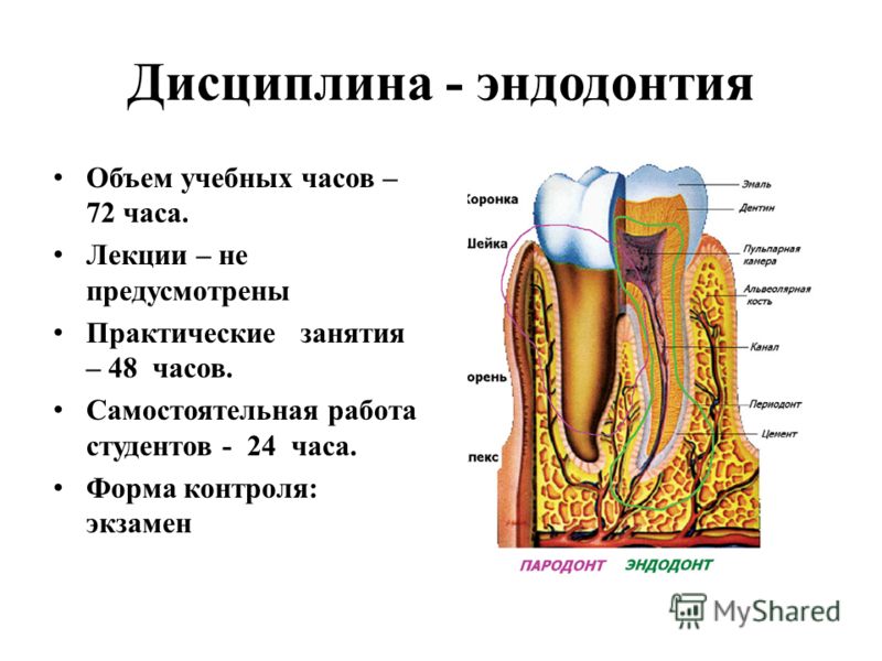 Дисциплина - эндодонтия Объем учебных часов – 72 часа. Лекции – не предусмотрены Практические занятия – 48 часов. Самостоятельная работа студентов - 2