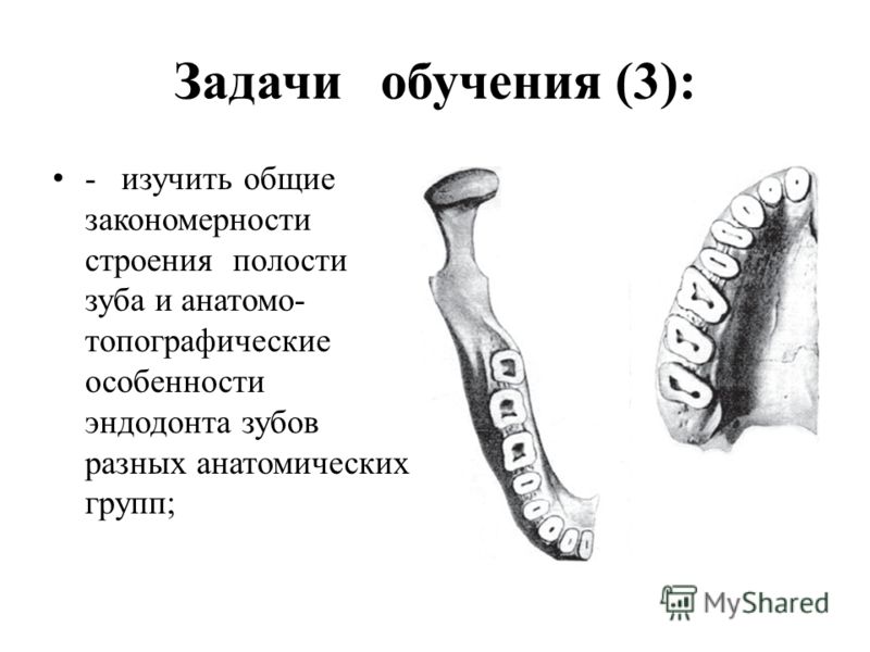 Задачи обучения (3): - изучить общие закономерности строения полости зуба и анатомо- топографические особенности эндодонта зубов разных анатомических 