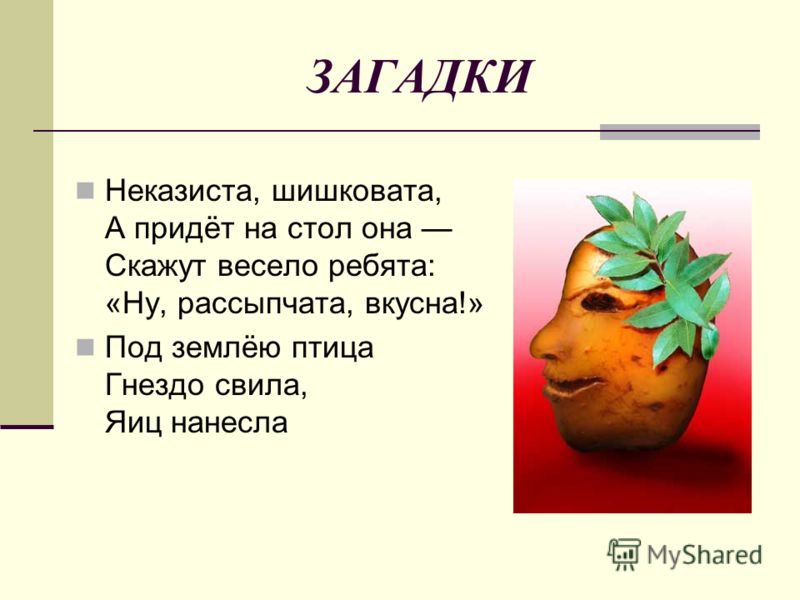 Поговорки про столы Поговорки про столы