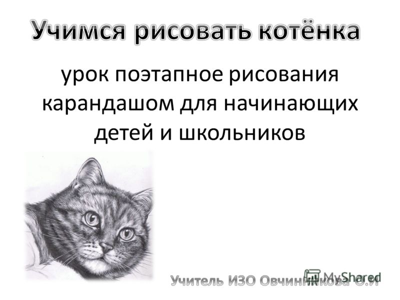 Уроки художника пошаговые Уроки художника пошаговые