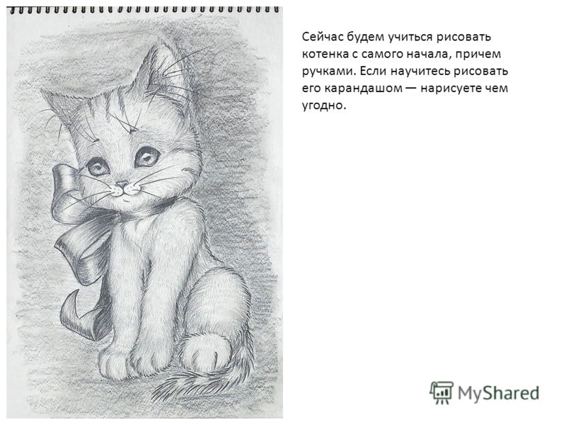 С чего учиться рисовать карандашом С чего учиться рисовать карандашом