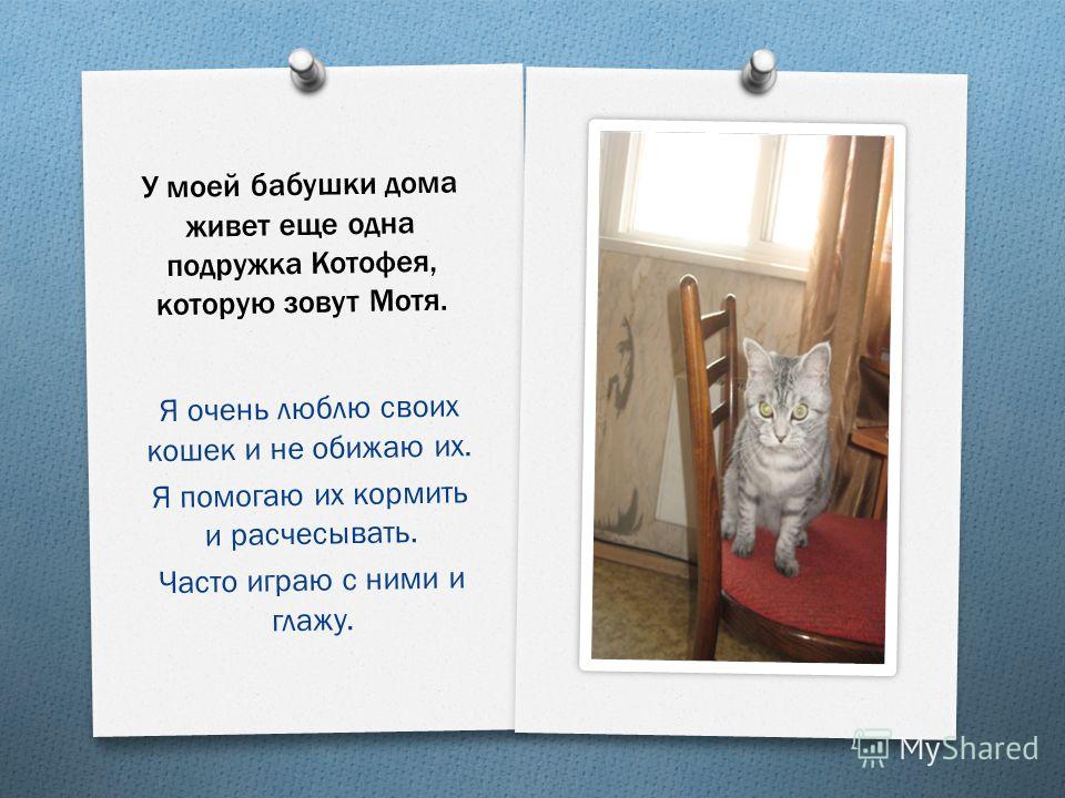 Презентация на тему мое любимое животное на немецком языке