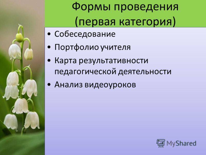 Программа допобразования по бумажной пластике