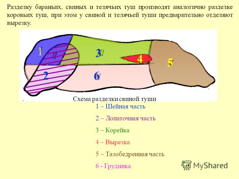 части свиной туши схема Свинина разделка туши схема.