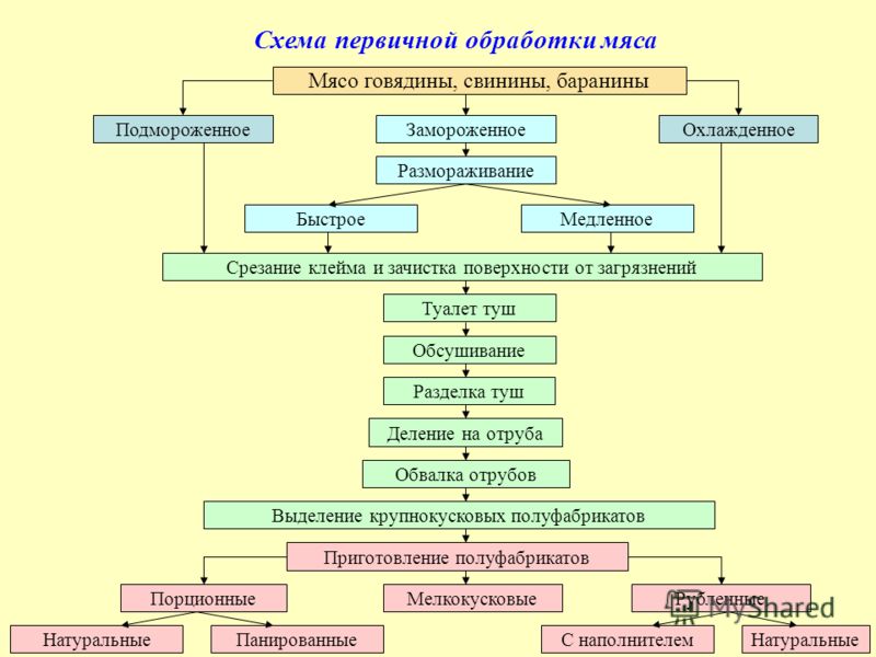 обработка мяса от паразитов обработка мяса от паразитов