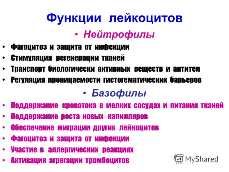 защита организма от паразитов и глистов защита организма от паразитов и глистов