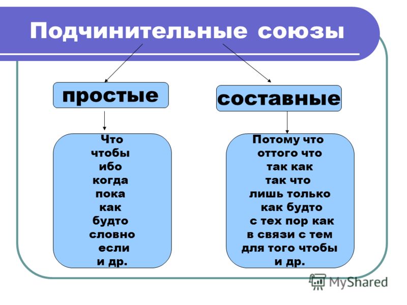 Белые цветы схема крестом Белые цветы схема крестом