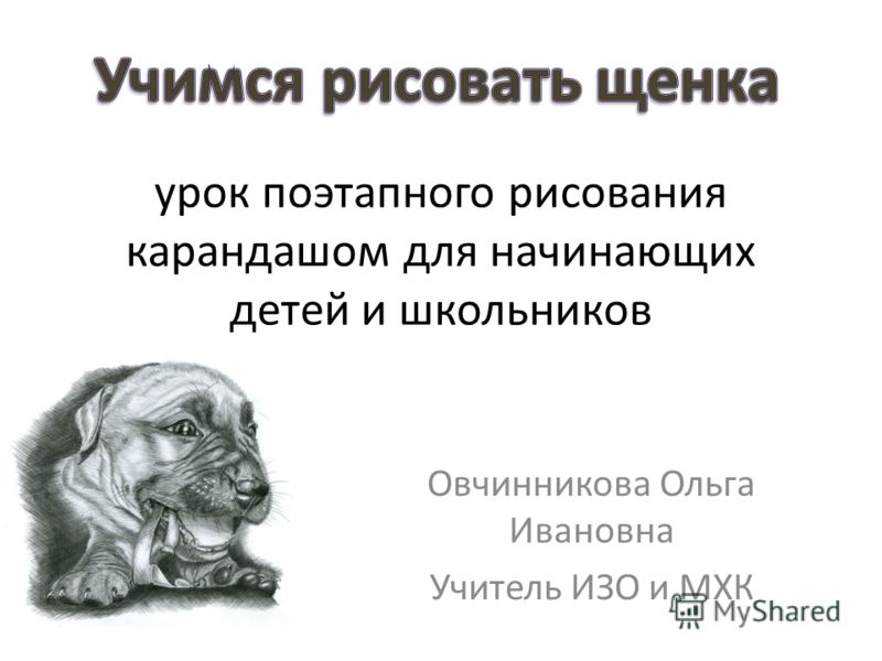 Перспективные планы по физкультуре в детском саду