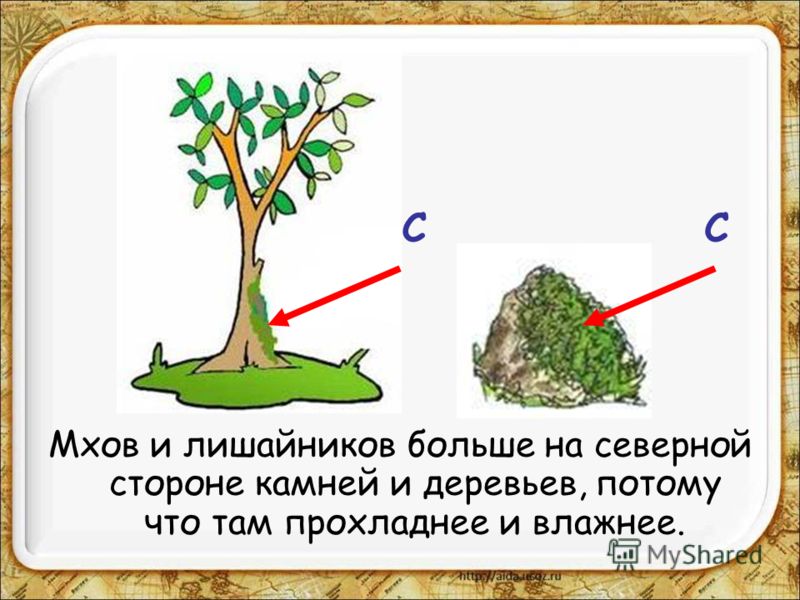 Рабочая программа обучение грамоте гармония фгос