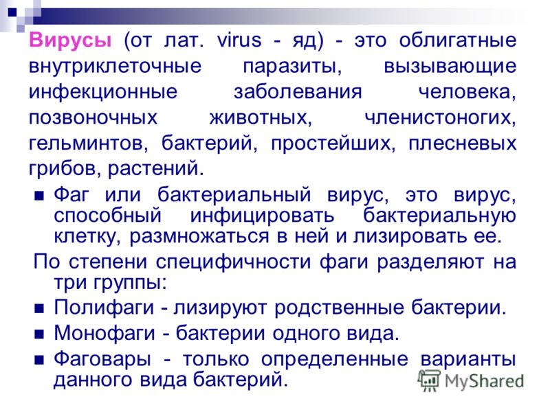 микроскопические паразиты живущие на человеке микроскопические паразиты живущие на человеке