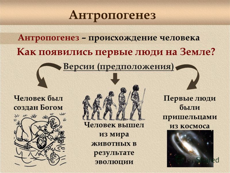 История Древнего Мира 5 Класс скачать