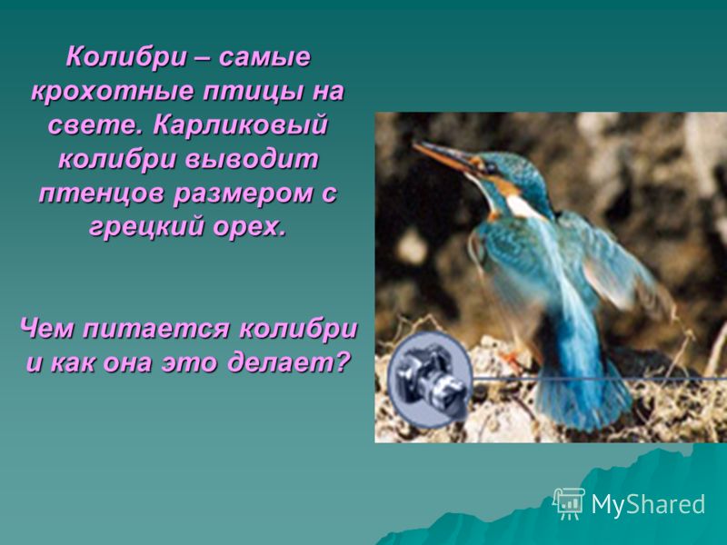 Физика касьянов 11 класс решебник