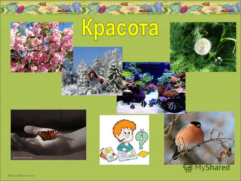 Гдз 4 Класс Основы Здоровья Тетрадь