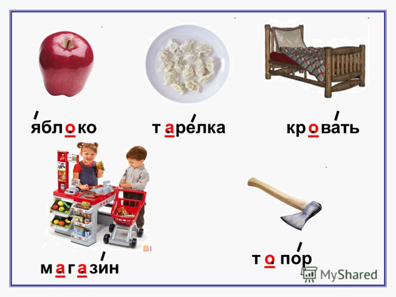 Программа факультатива во 2 классе