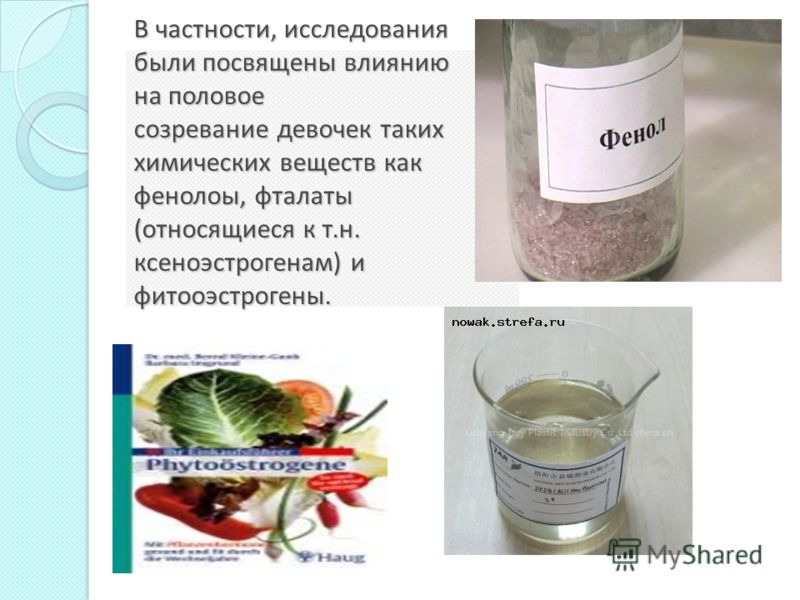 В частности, исследования были посвящены влиянию на половое созревание девочек таких химических веществ как фенолоы, фталаты (относящиеся к т.н. ксено