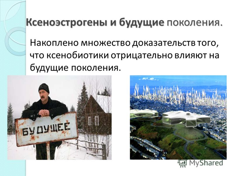 Ксеноэстрогены и будущие поколения. Накоплено множество доказательств того, что ксенобиотики отрицательно влияют на будущие поколения.