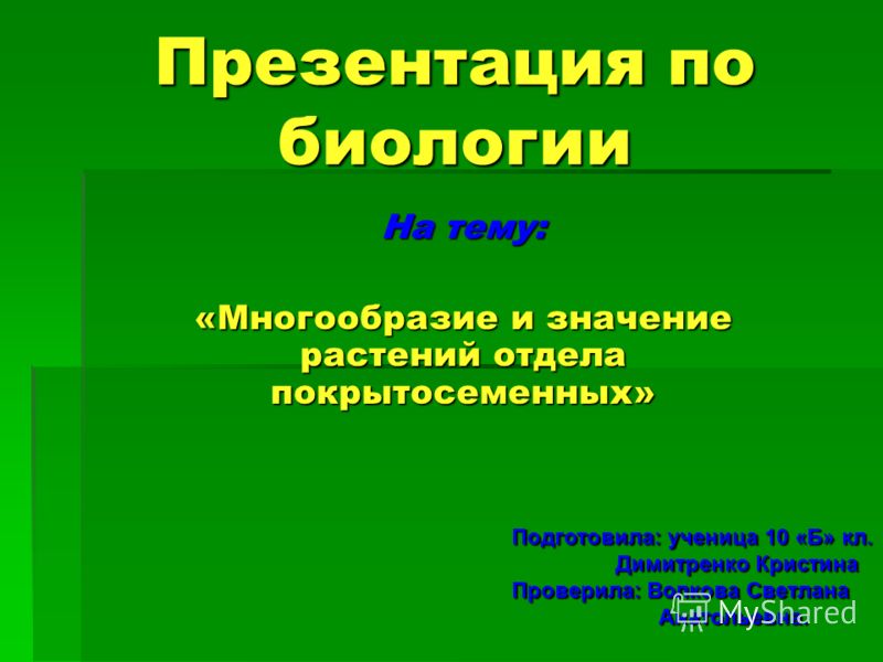 Садовые луковичные цветы фото названия растений