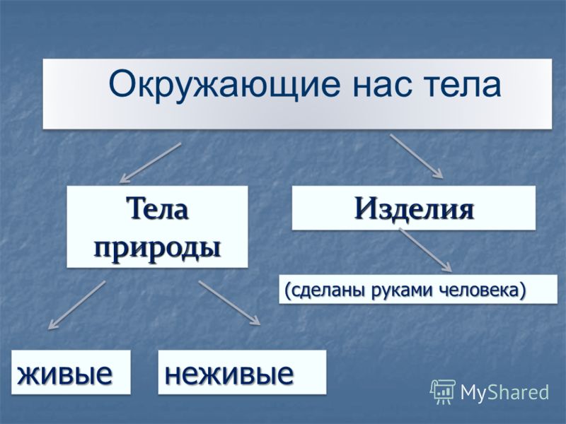 Поурочное планирование 1 класс 2100 русский язык