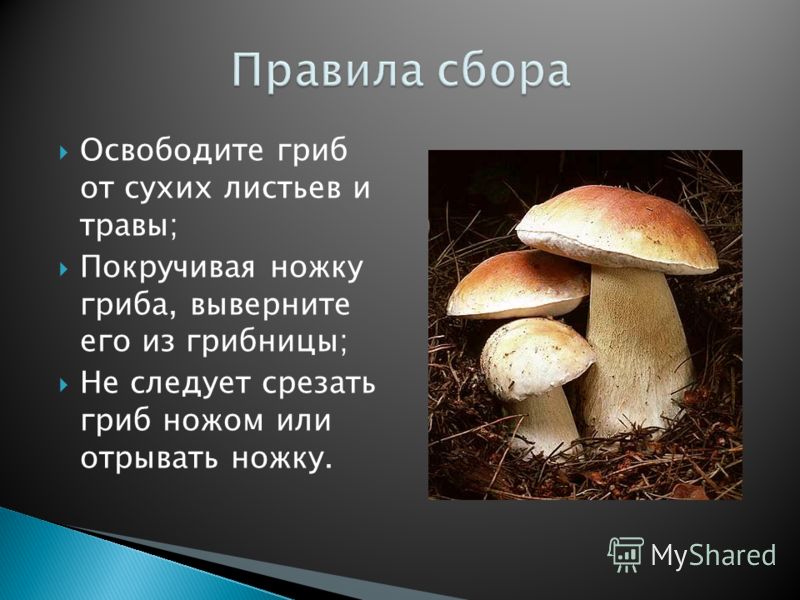 Конспект урока по физике 7 класс что изучает физика