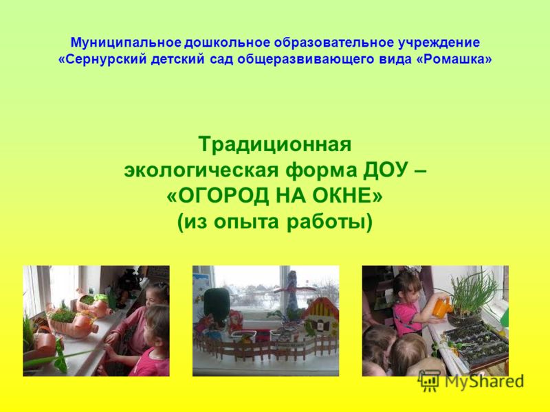 Экологическая тропа в дошкольном образовательном учреждении Конспекты планов в детском саду