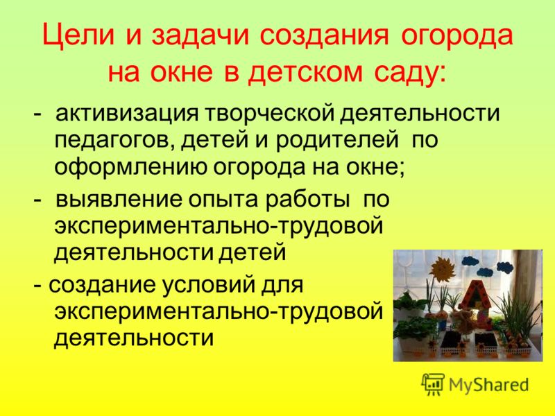 Занятия по лепке в первой и второй младших 38 Занятия по лепке в первой и второй младших 2