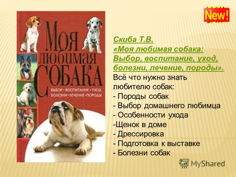 Презентация На Тему Моя Любимая Собака Презентация На Тему Моя Любимая Собака