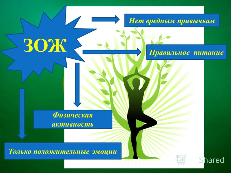 правильное питание чтоб похудеть быстро правильное питание чтоб похудеть быстро